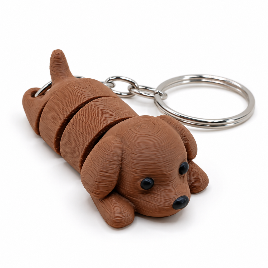 Cachorro
